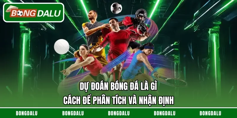 Dự Đoán Bóng Đá Là Gì – Cách Để Phân Tích Và Nhận Định