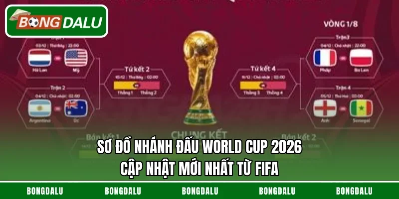 Sơ Đồ Nhánh Đấu World Cup 2026 – Cập Nhật Mới Nhất Từ FIFA