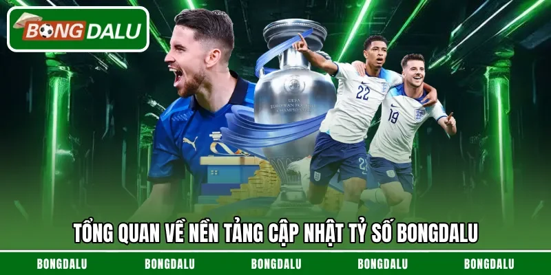 Tóm tắt một số thông tin về web bóng đá Bongdalu